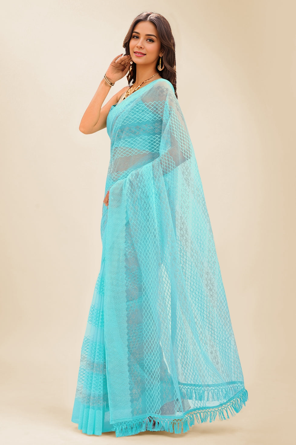Trendy Thread Embroidred Net Saree