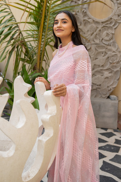 Trendy Thread Embroidred Net Saree