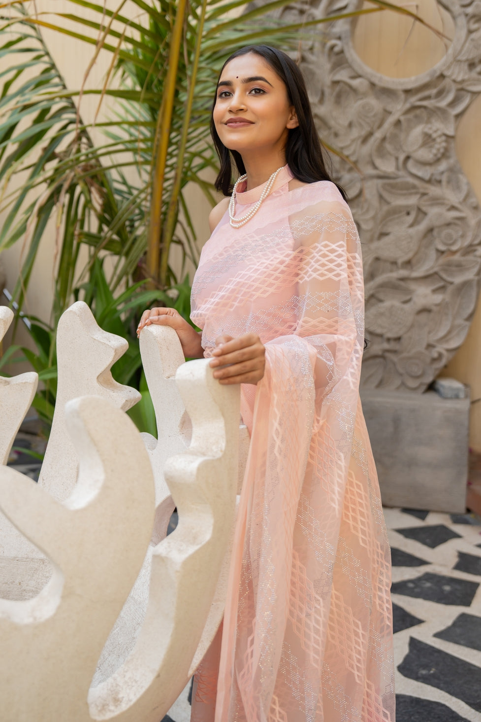 Trendy Thread Embroidred Net Saree